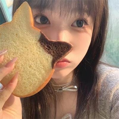 档案风暴